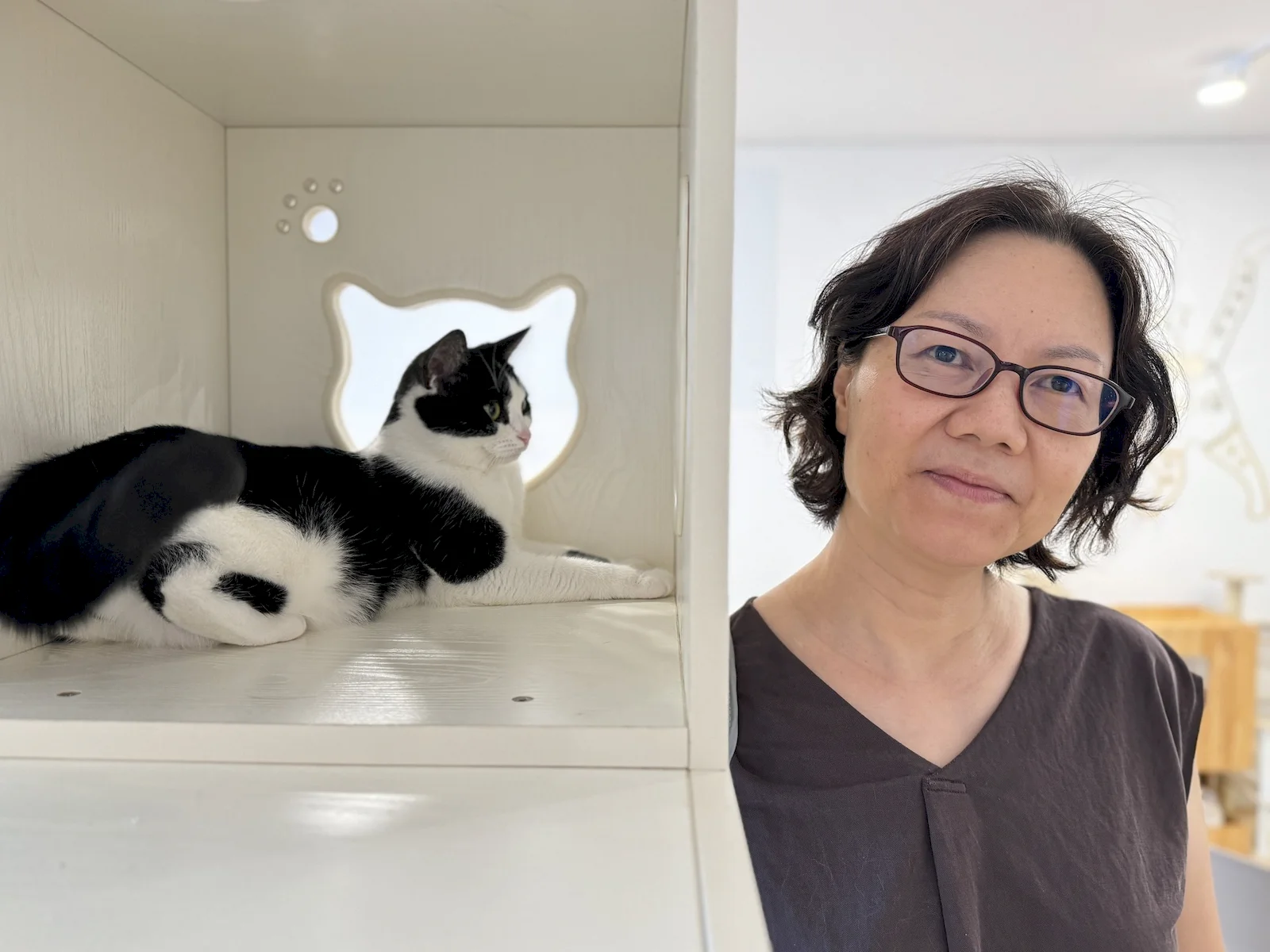 擼猫